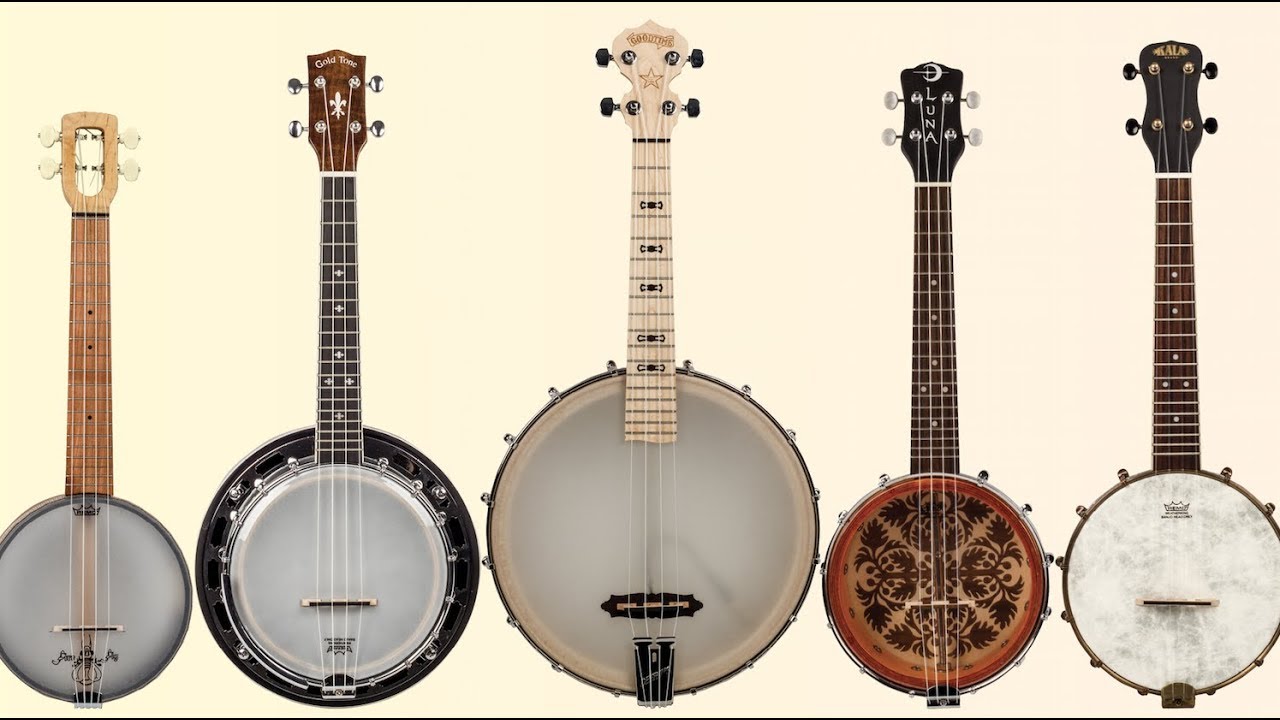 types of banjos