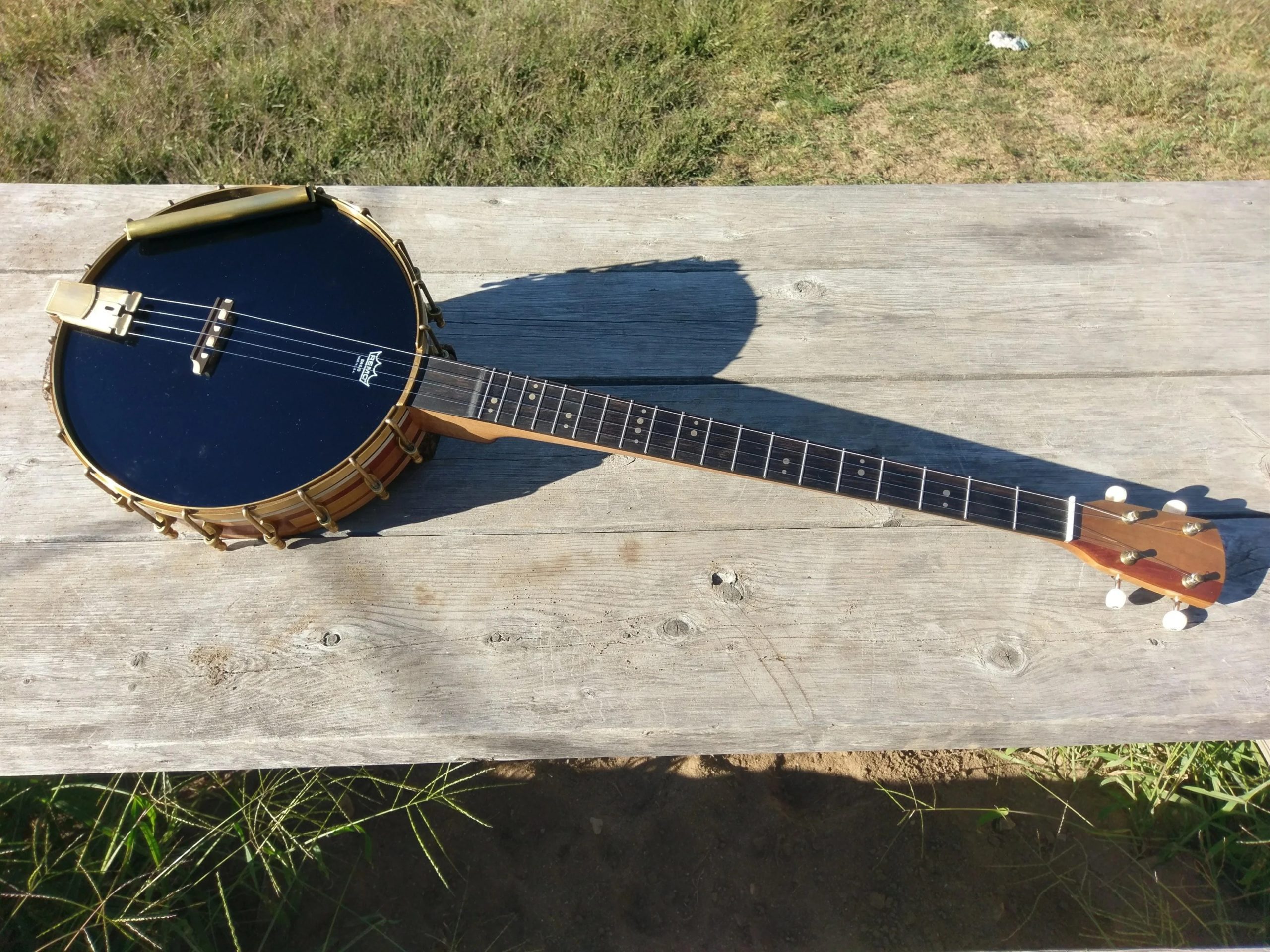 plectrum-banjo